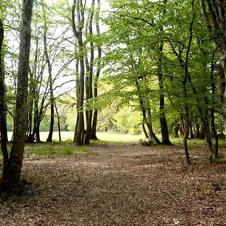 Les De Lara Alpstuga