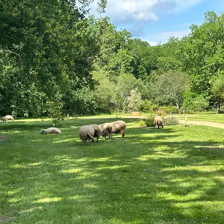 Les De Lara Ménesplet