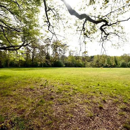 Les De Lara * Ménesplet