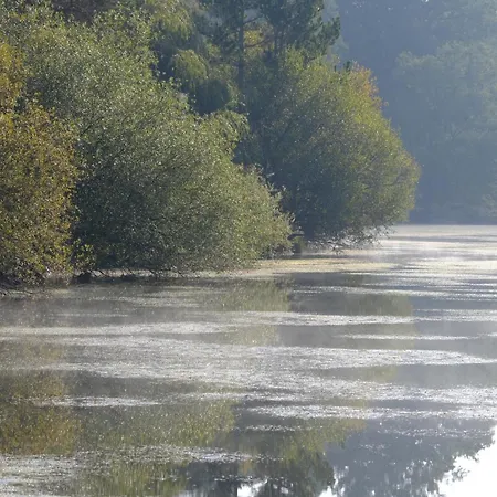 Les De Lara Ménesplet