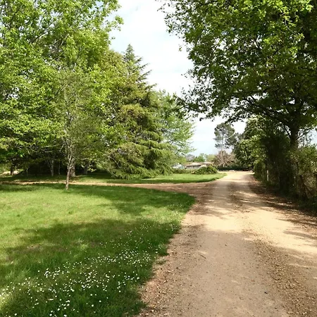 Les De Lara Menesplet