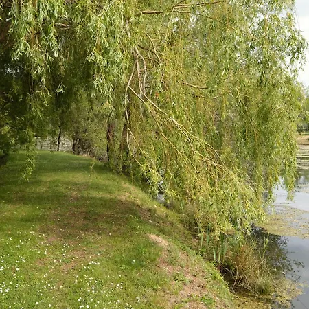 Les De Lara * Ménesplet