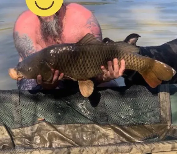 Les De Lara Chalet *