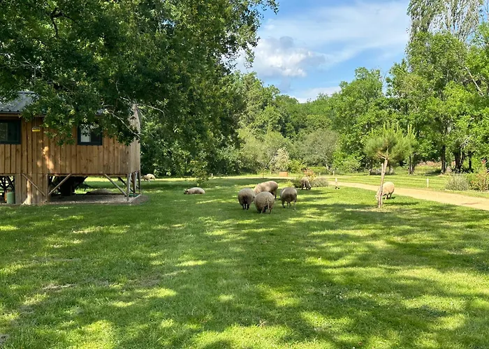 Les De Lara Menesplet