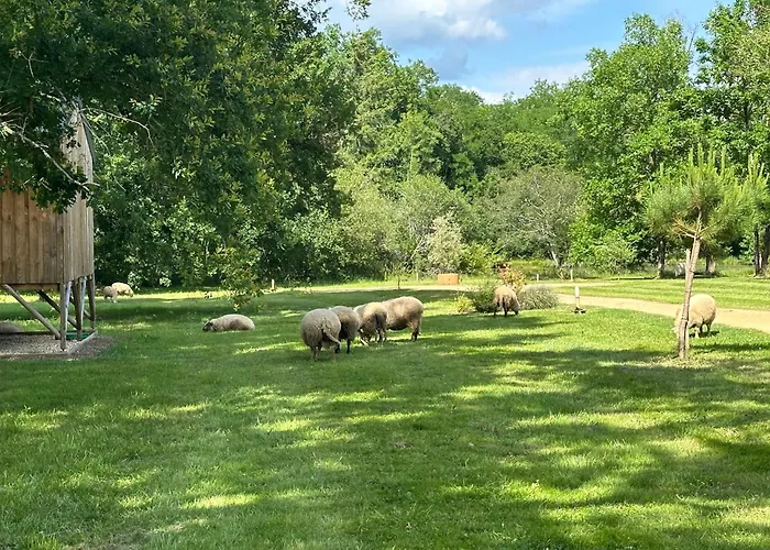 Les De Lara Menesplet