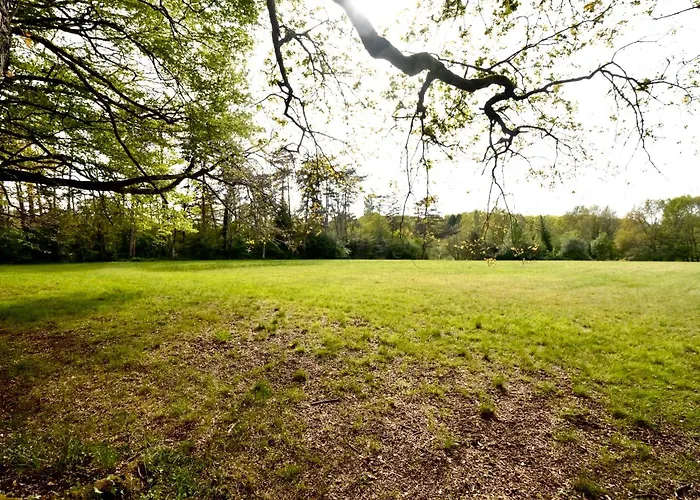 Les De Lara * Ménesplet