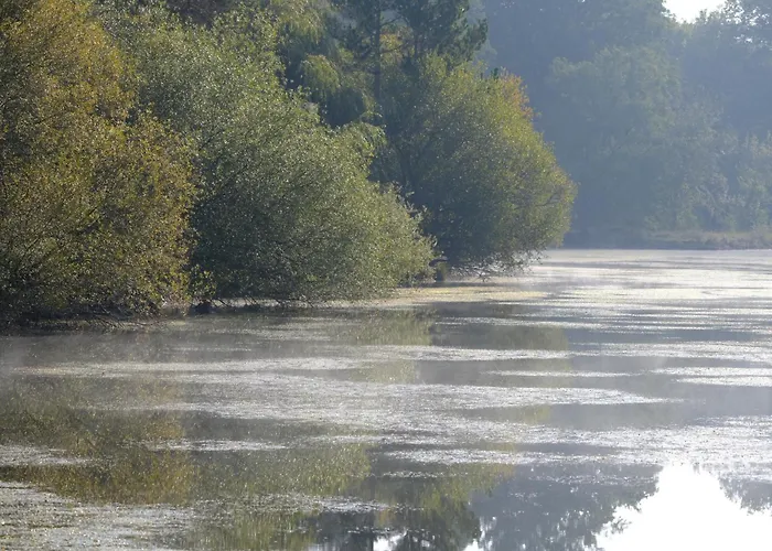 Les De Lara Menesplet