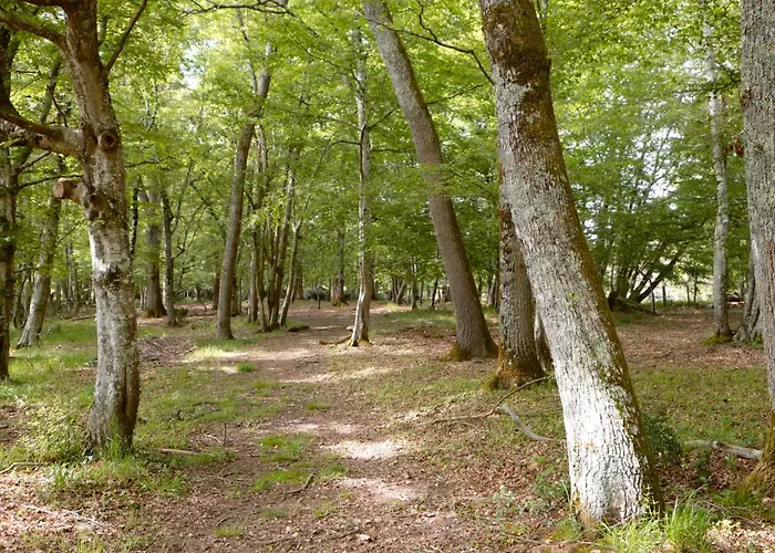 Chalet Les De Lara Menesplet