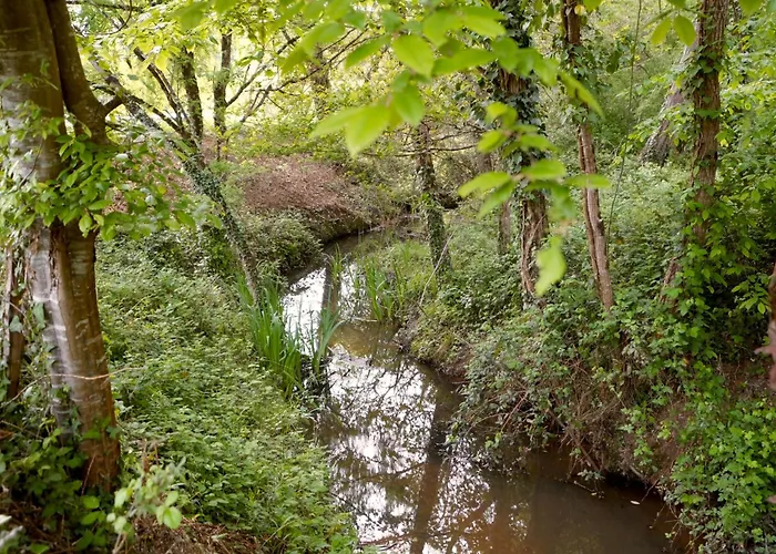 Les De Lara * Menesplet