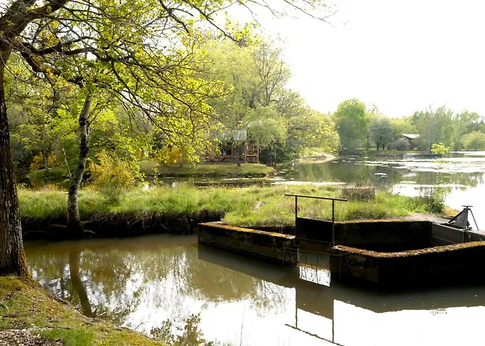 Les De Lara Ménesplet