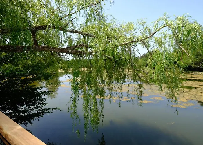 Chalet Les De Lara *