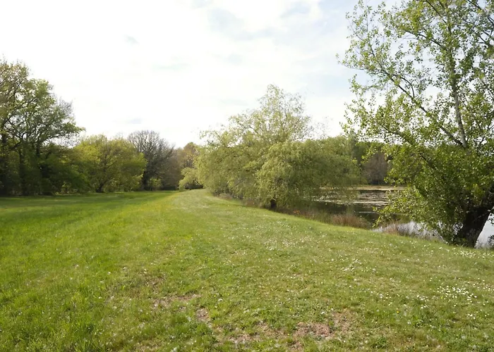 Les De Lara Menesplet