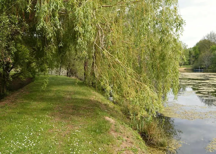 Les De Lara * Ménesplet